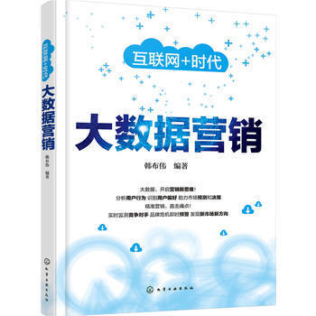 大數(shù)據(jù)營(yíng)銷(xiāo) 數(shù)字時(shí)代的精準(zhǔn)銷(xiāo)售與戰(zhàn)略布局
